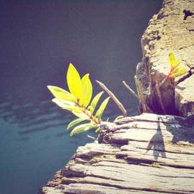 Pestycydy w wodzie pitnej: Niewidzialne zagrożenie dla zdrowia publicznego