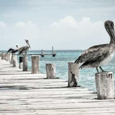 Techniki radzenia sobie ze stresem